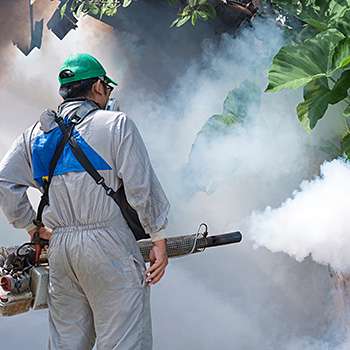 Fumigation Services (FS)